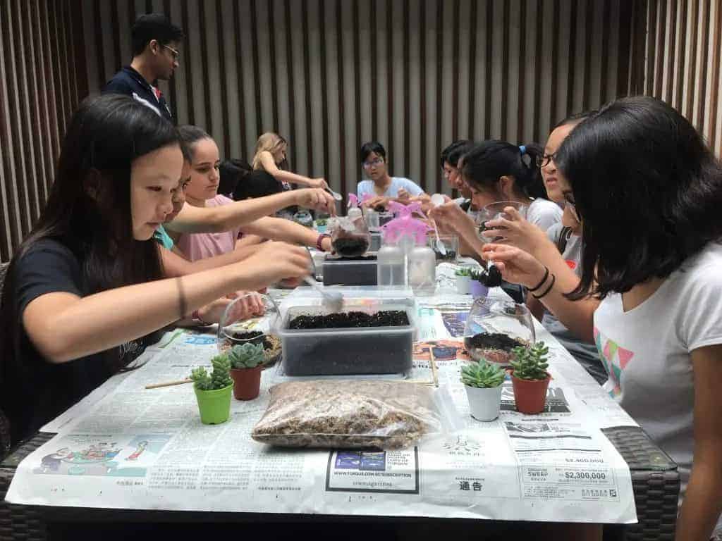 Team building terrarium workshop