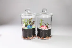Terrarium